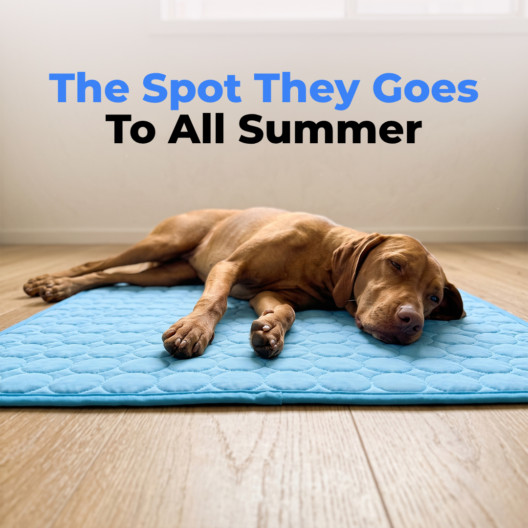Pet Cooling Mat